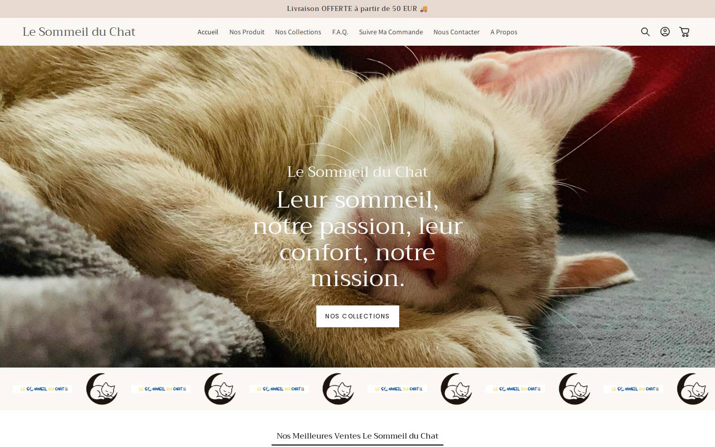 Le Sommeil du Chat homepage screenshot