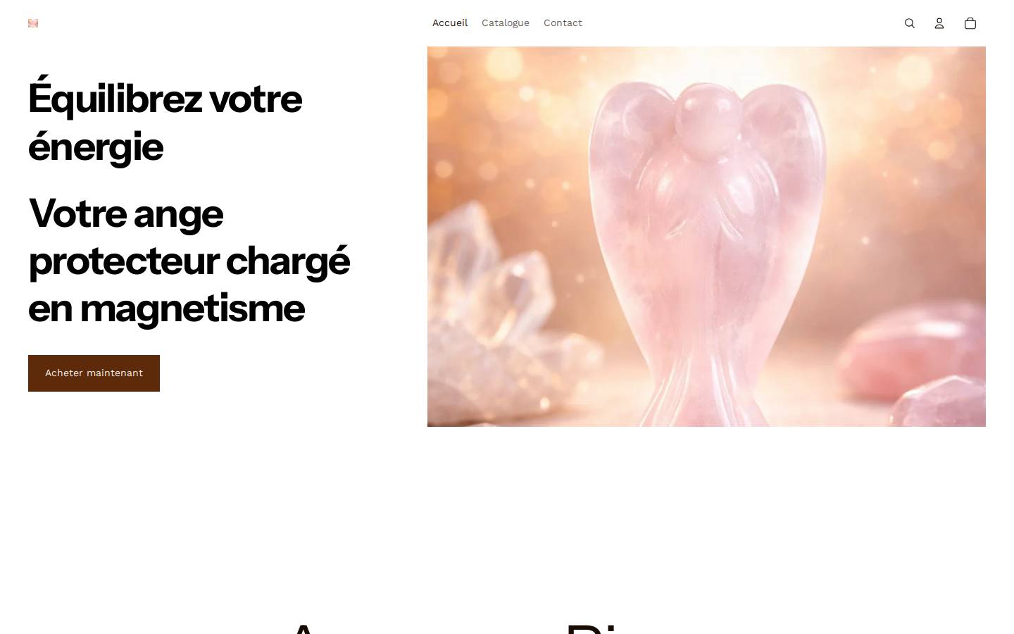 lesprotecteurs.fr homepage screenshot
