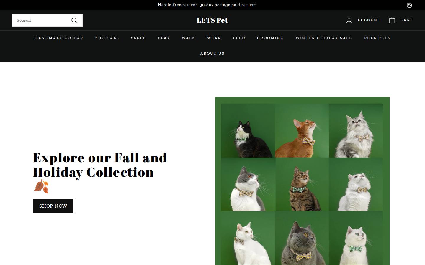 letsforpet.com homepage screenshot
