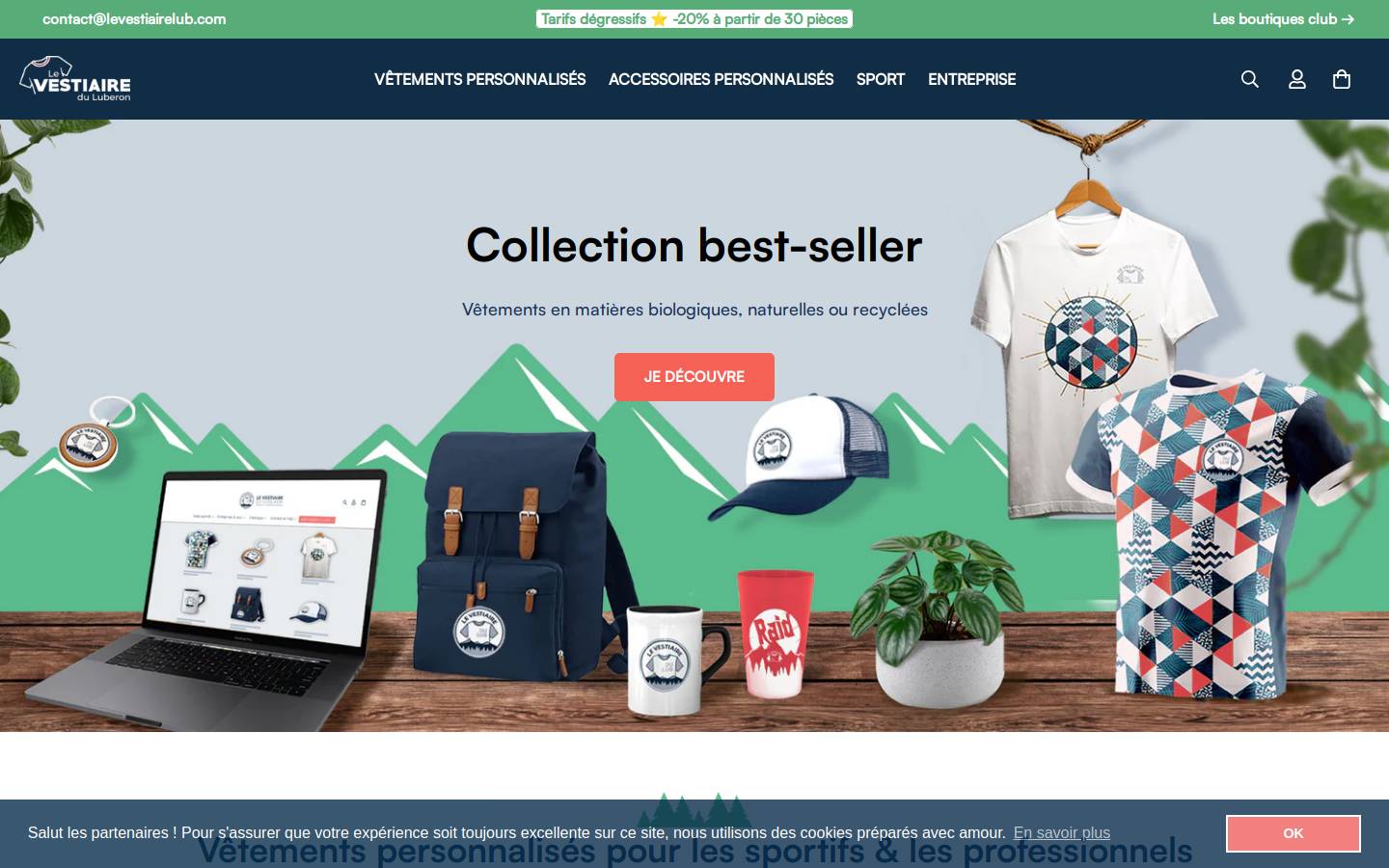 levestiairedulub.fr homepage screenshot