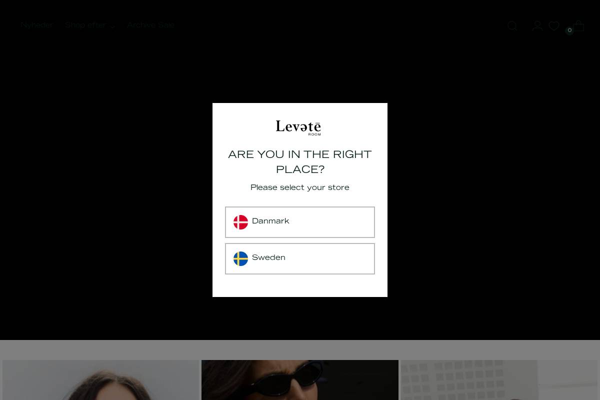 Leveteroom homepage screenshot