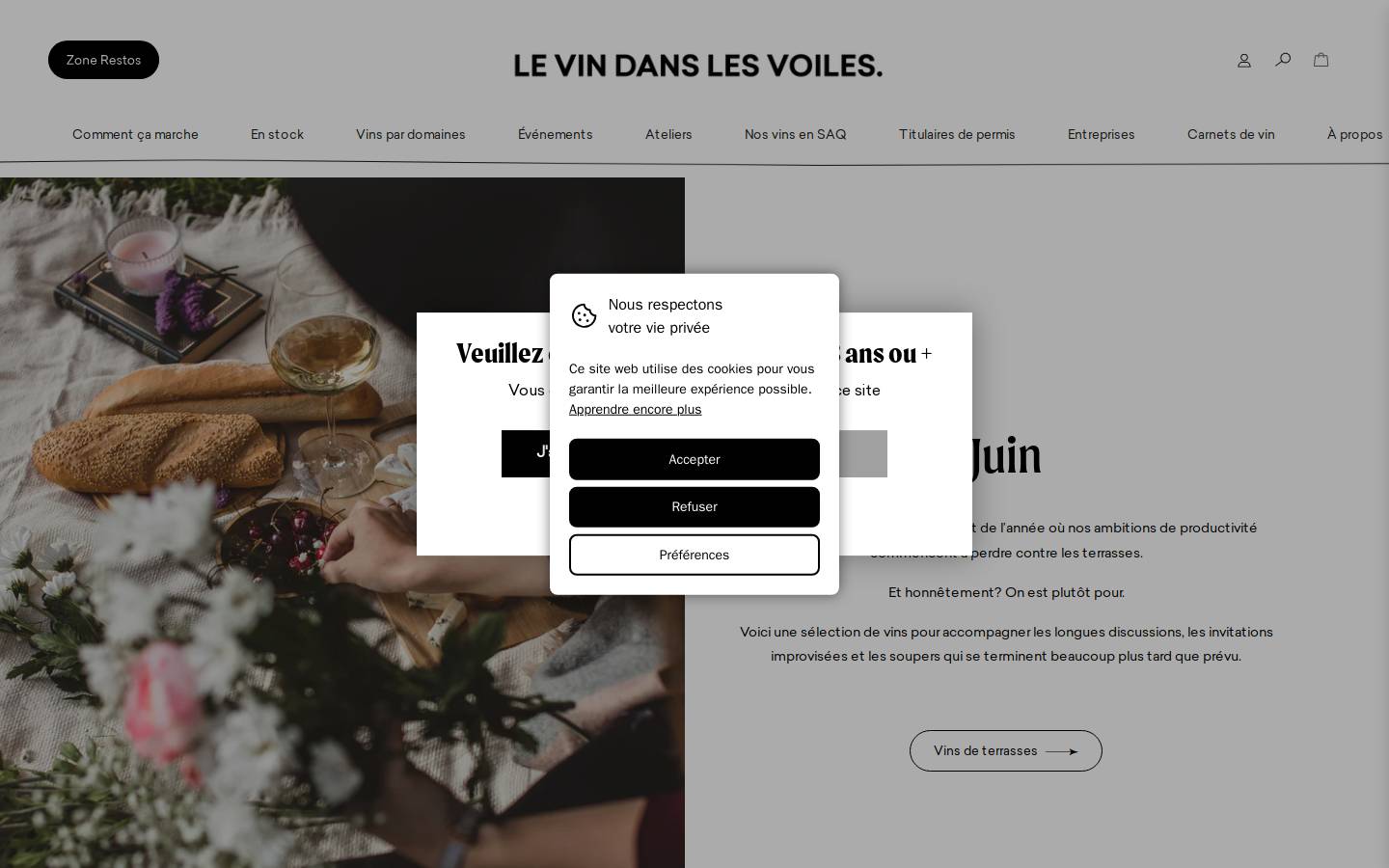 levindanslesvoiles.com homepage screenshot