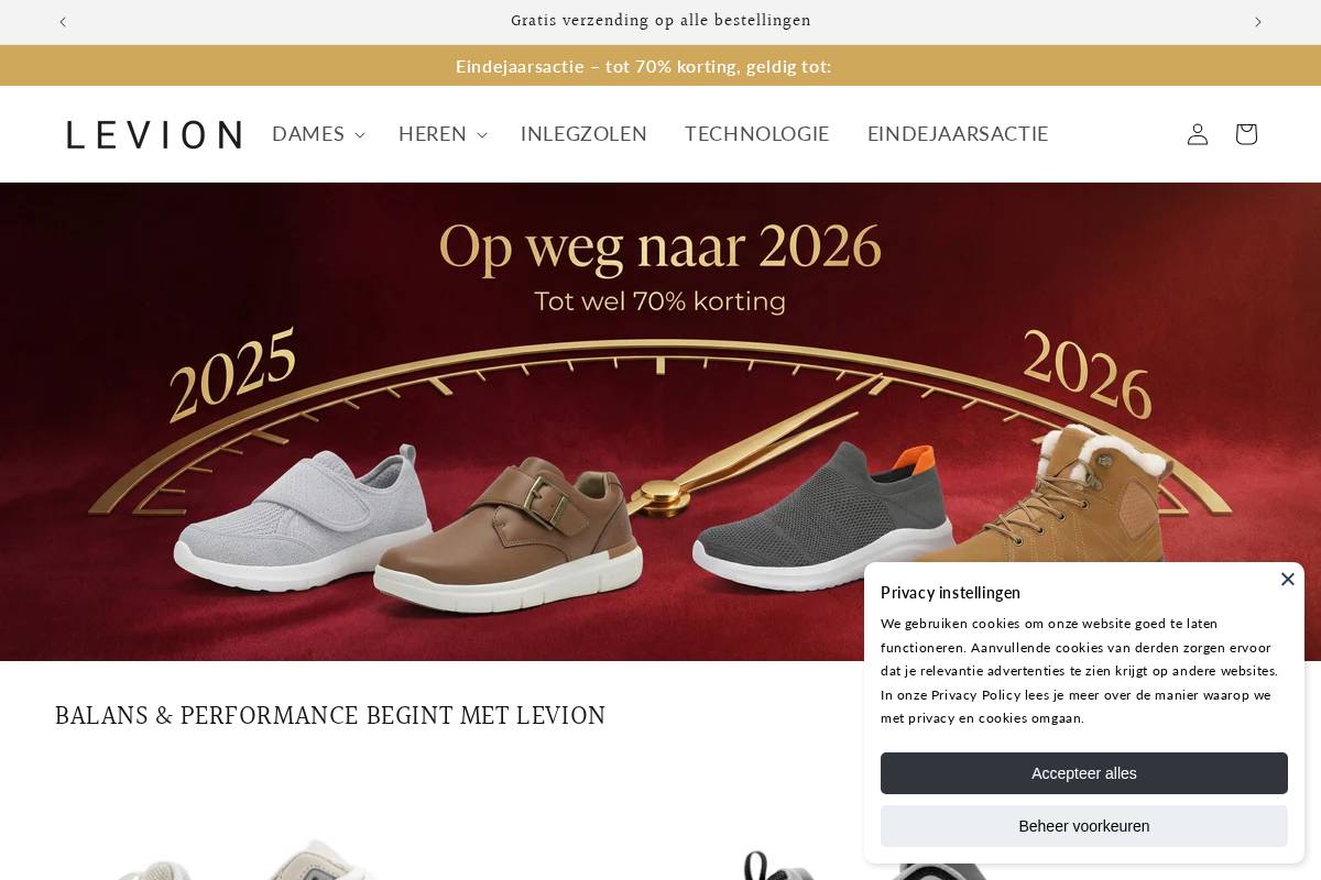 Levion homepage screenshot