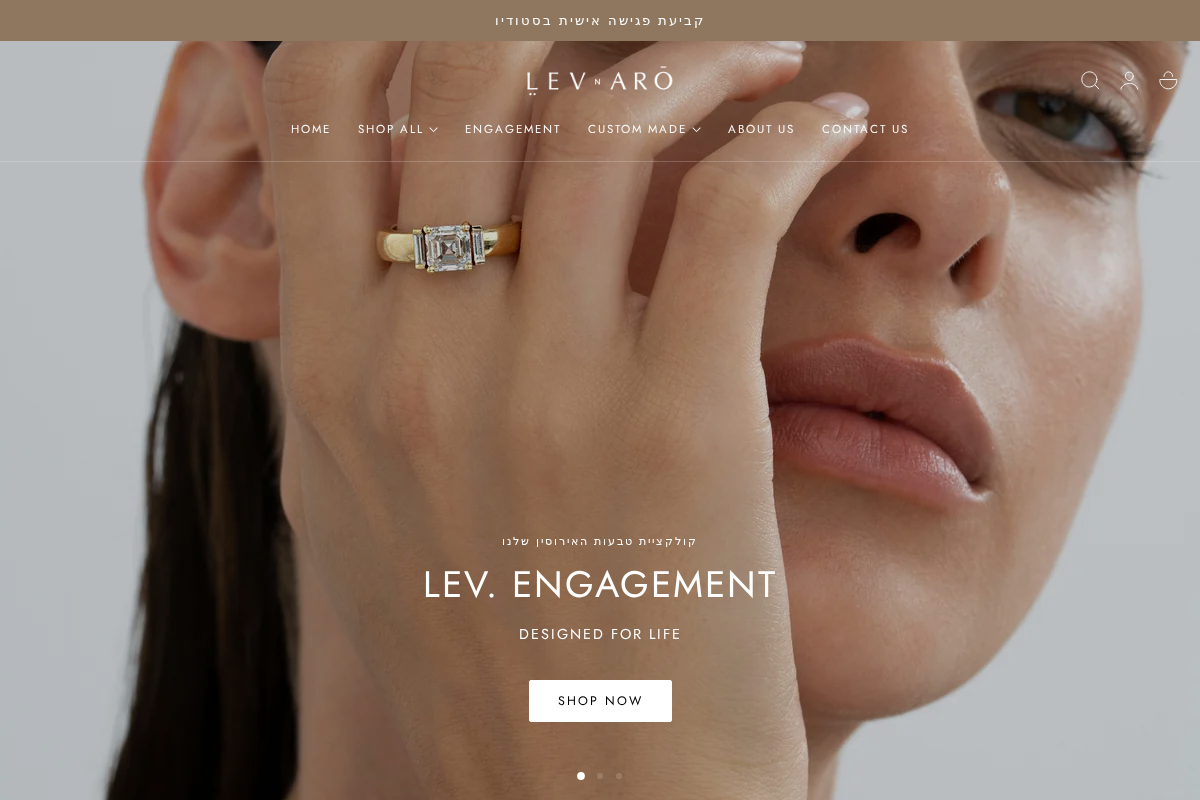 levnaro.com homepage screenshot