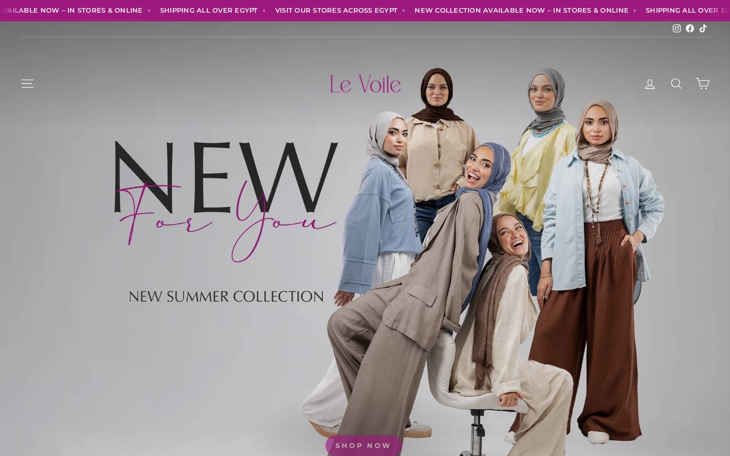 levoilestores.com homepage screenshot