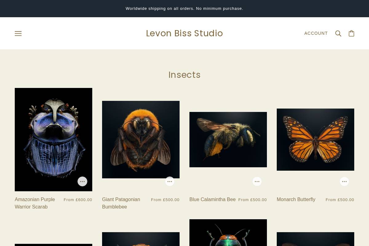 Levon Biss Studio homepage screenshot