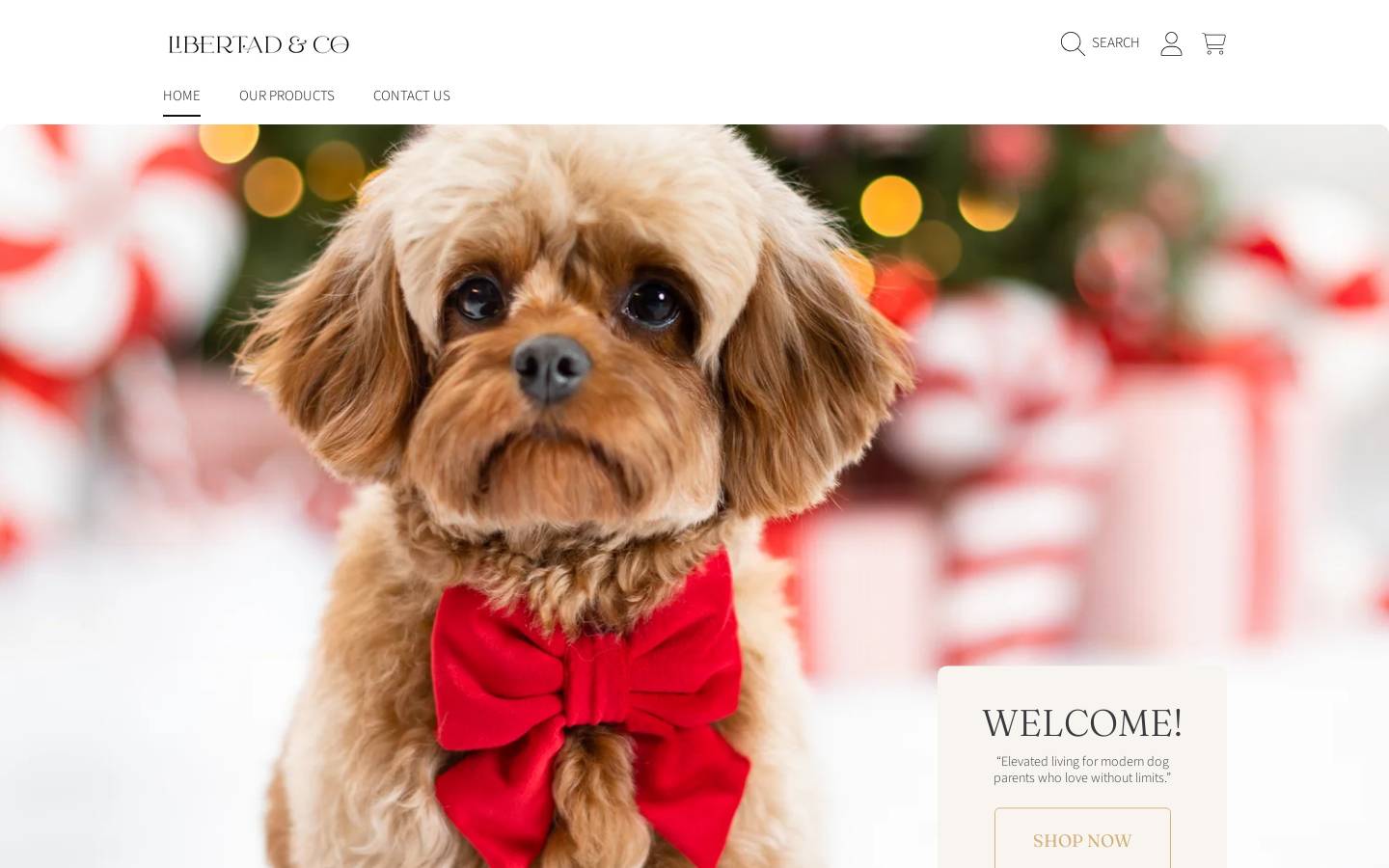 libertadandcompany.com homepage screenshot
