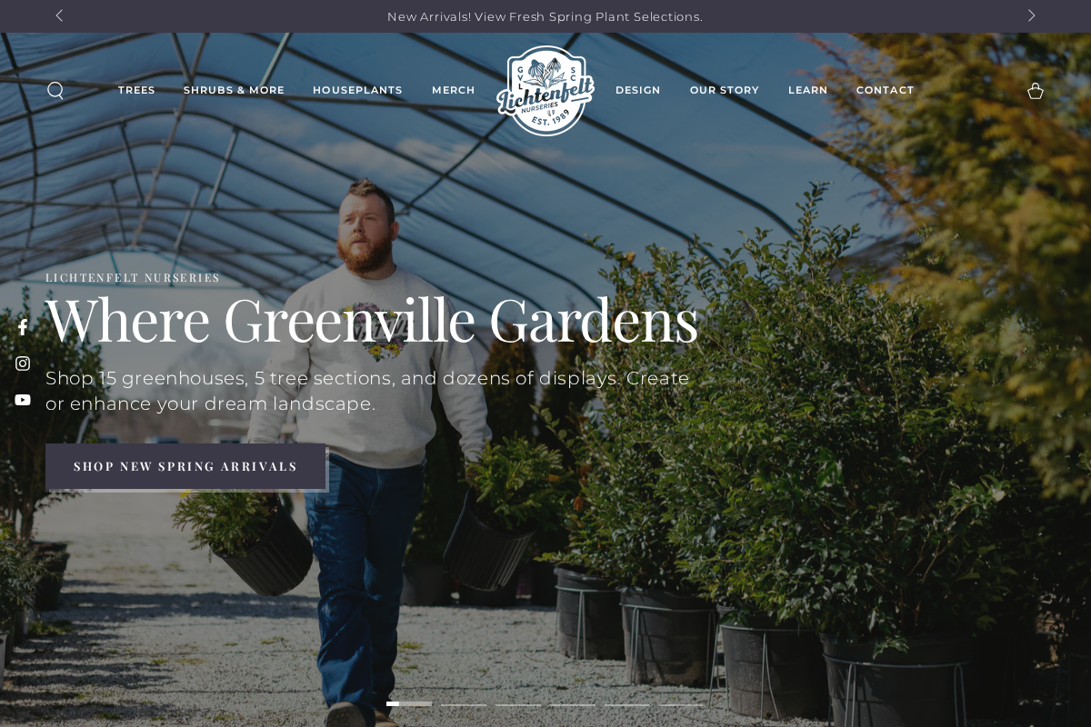 Lichtenfelt's homepage screenshot