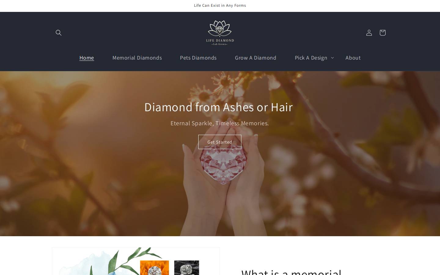 life-diamond.com homepage screenshot