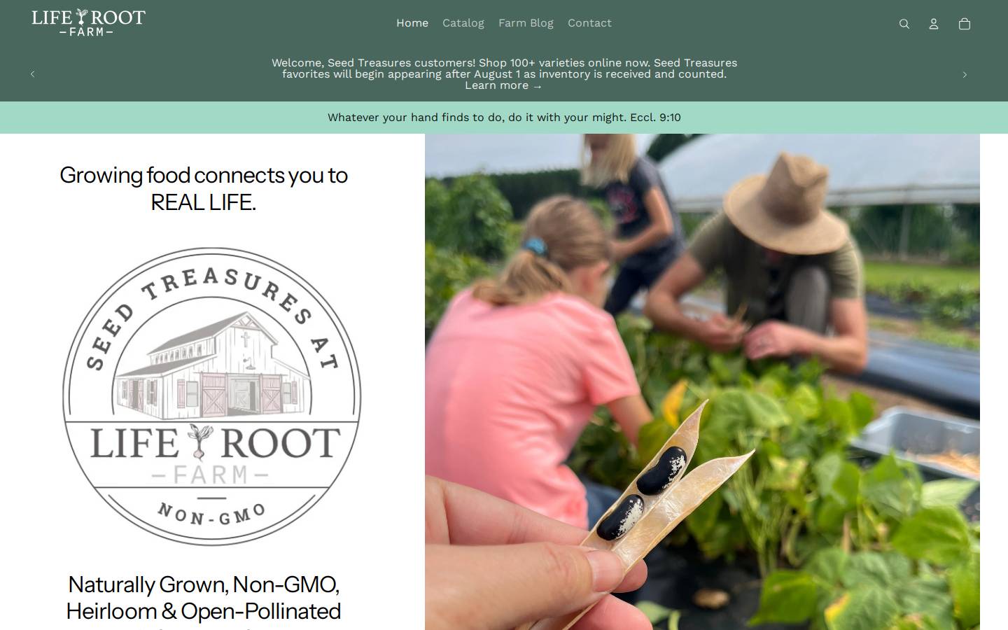 liferootfarm.com homepage screenshot