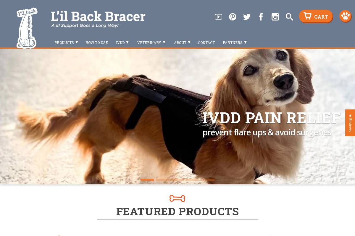 lilbackbracer.com homepage screenshot