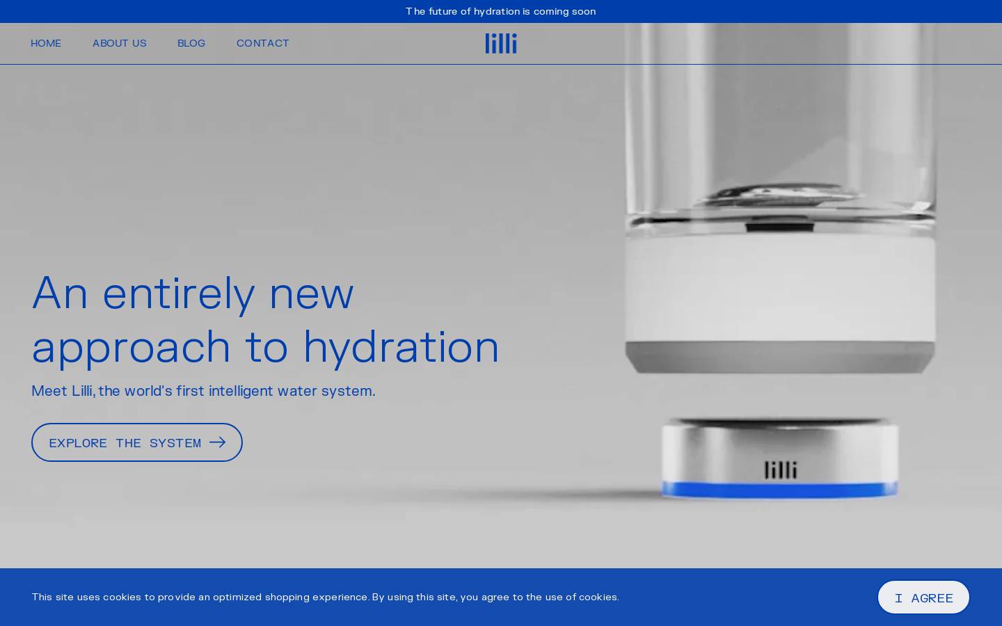 lillisystem.com homepage screenshot
