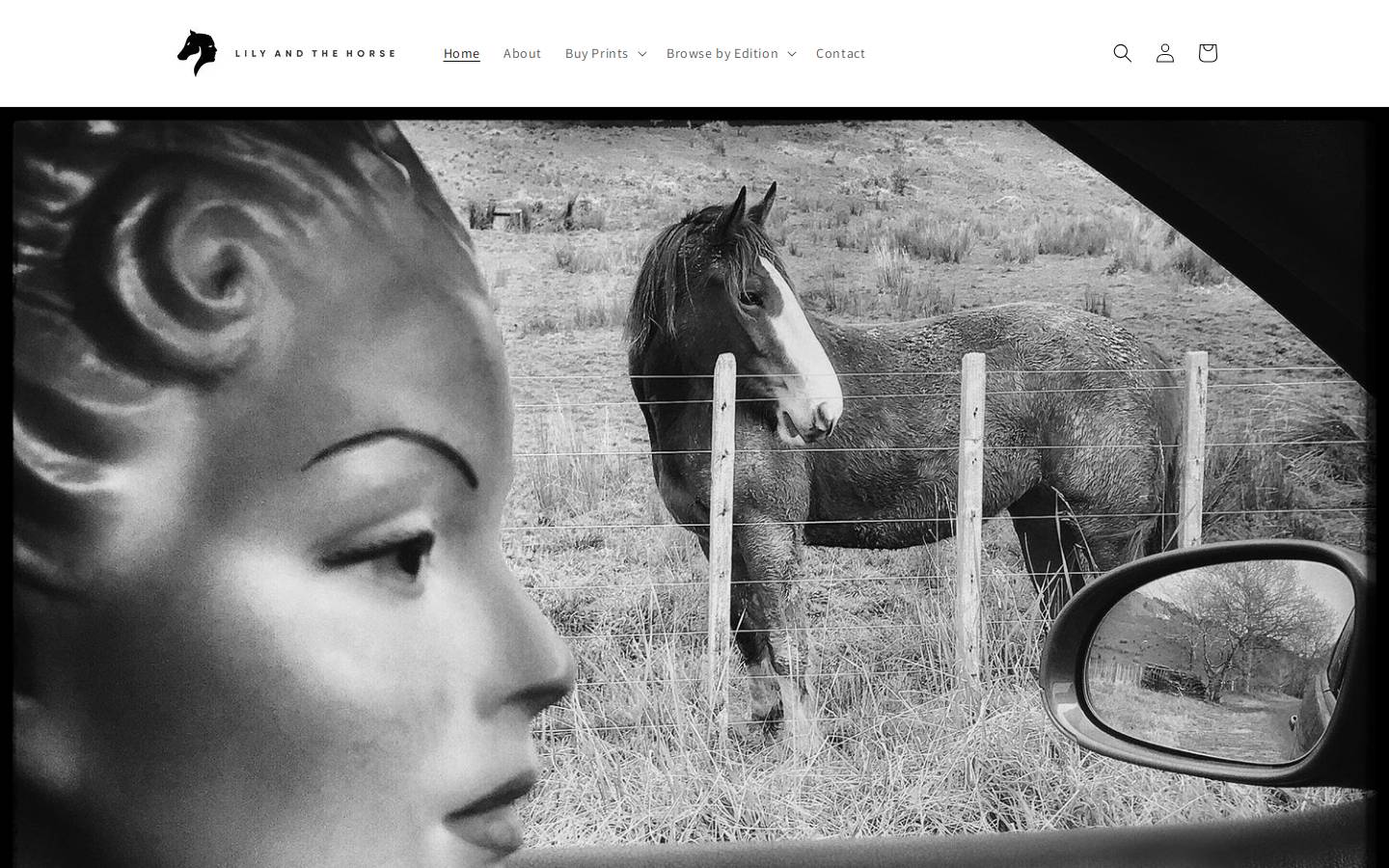 lilyandthehorse.com homepage screenshot