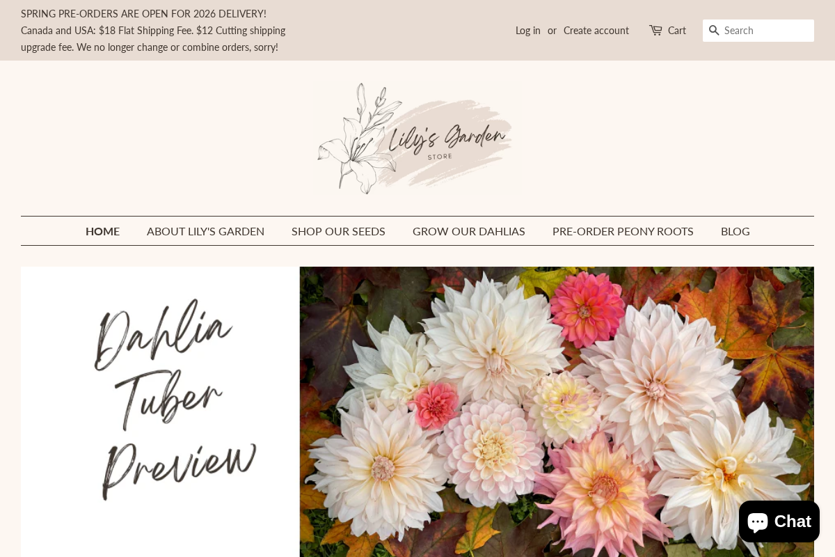Lily's Garden Store homepage screenshot