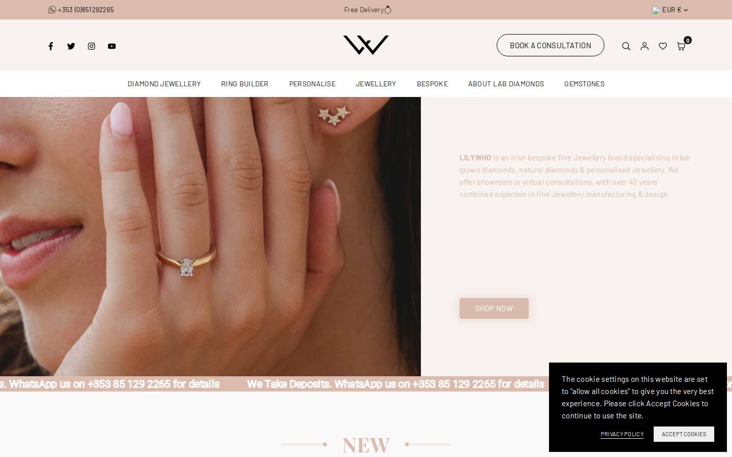 Lilywho homepage screenshot
