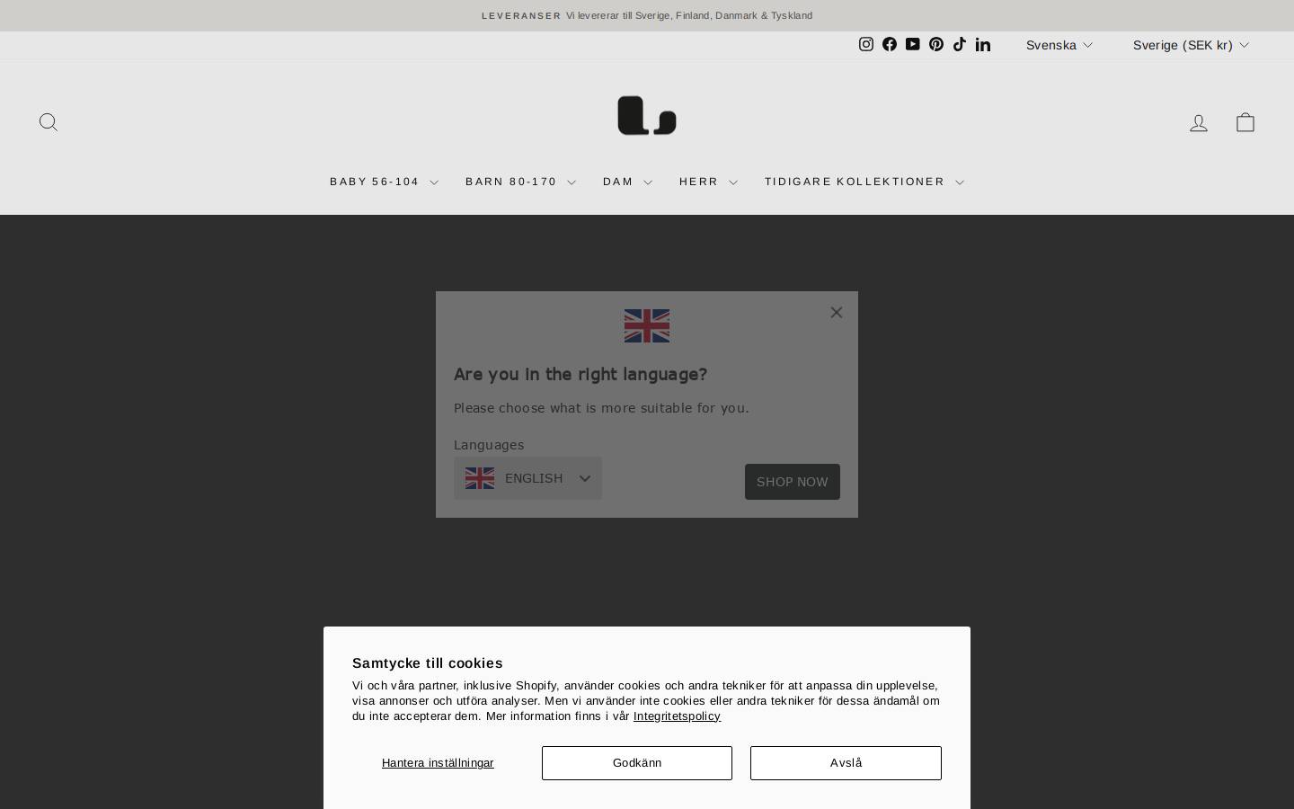 lindbergsweden.com homepage screenshot