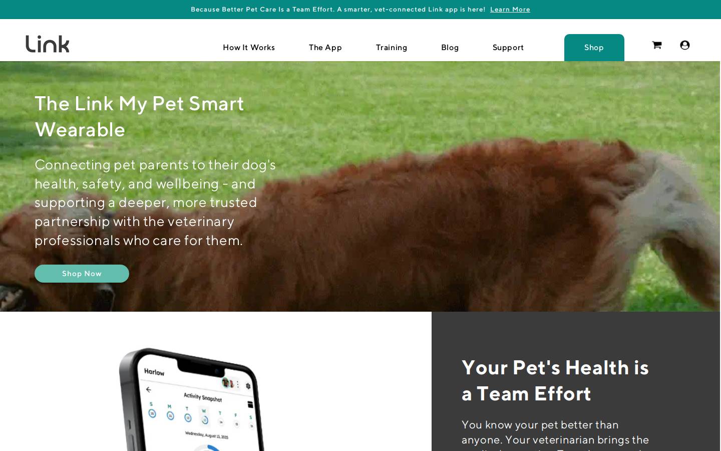Link My Pet homepage screenshot