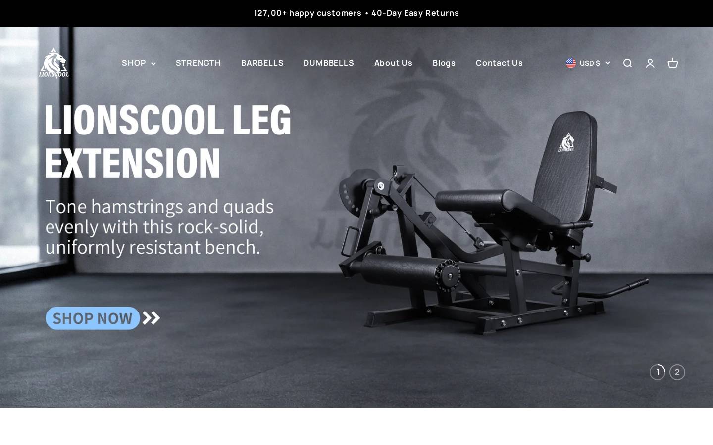 lionscool.com homepage screenshot
