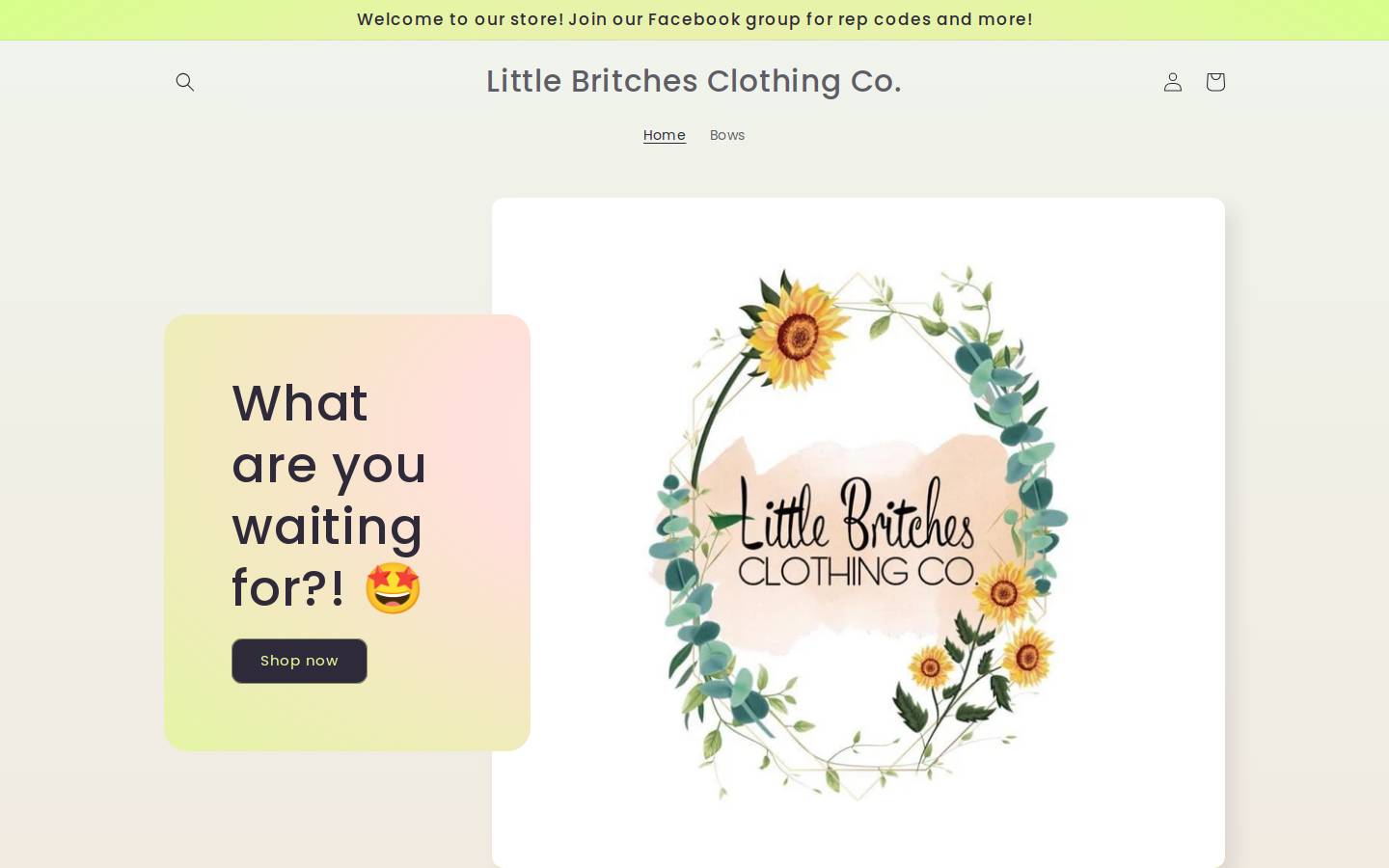 littlebritchesclothingco.com homepage screenshot
