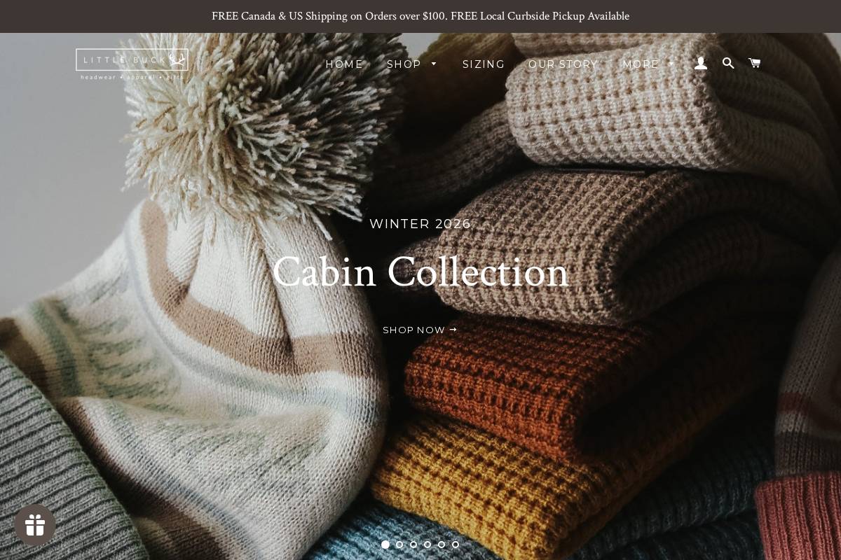 littlebuck.ca homepage screenshot