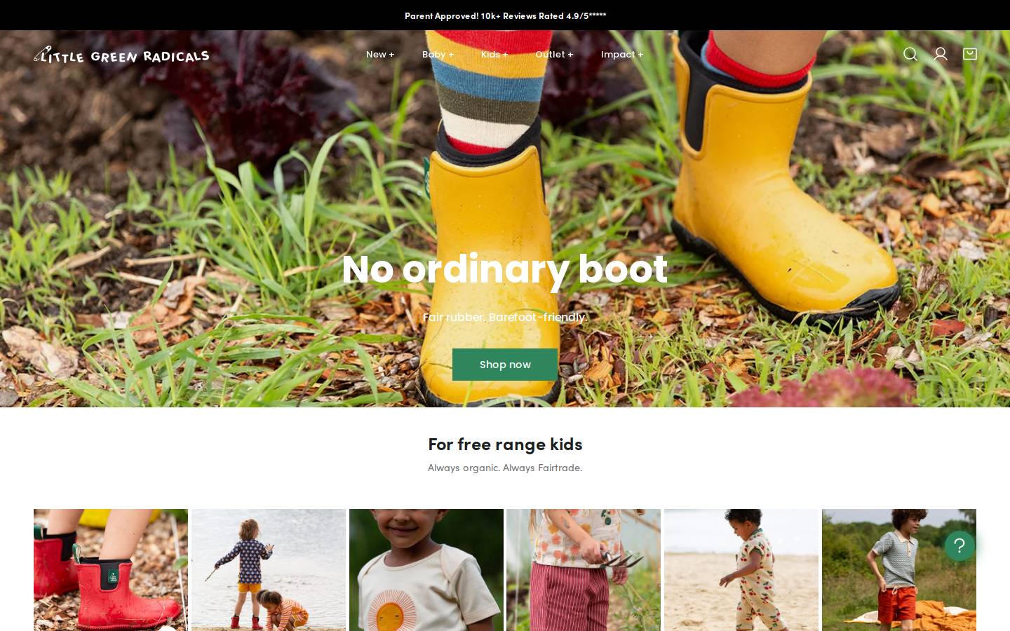 Littlegreenradicals homepage screenshot