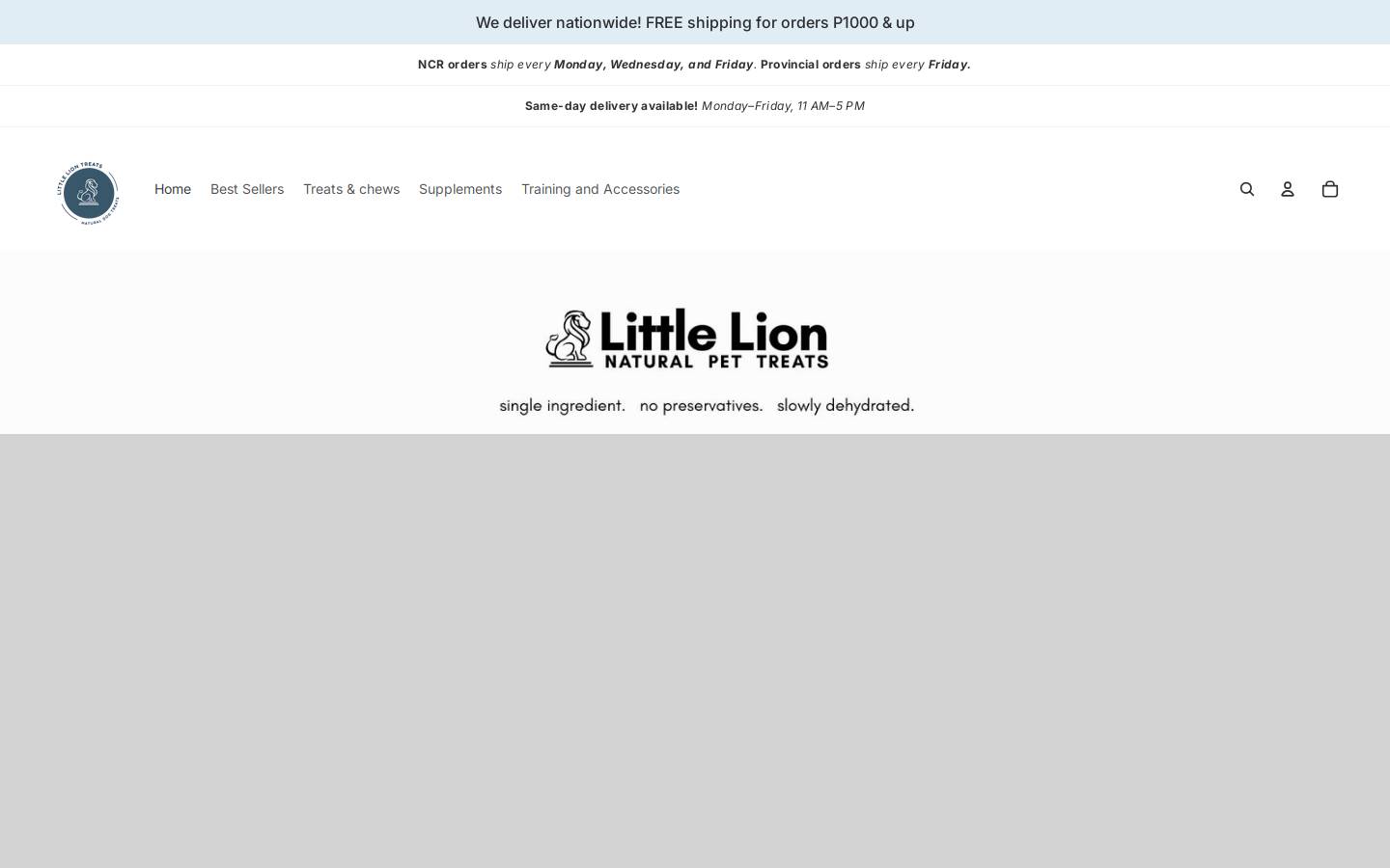 littlelionph.com homepage screenshot