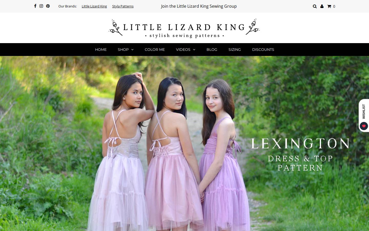littlelizardking.com homepage screenshot