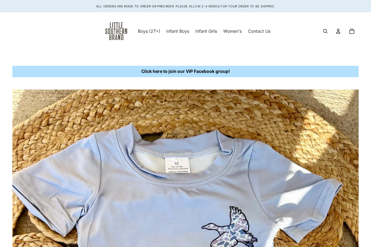 littlesouthernbrand.com homepage screenshot