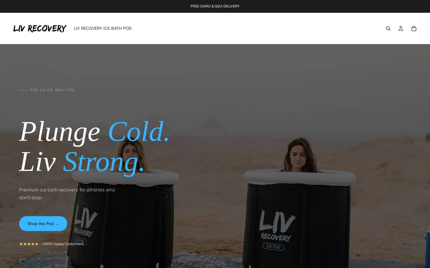 liv-recovery.com homepage screenshot
