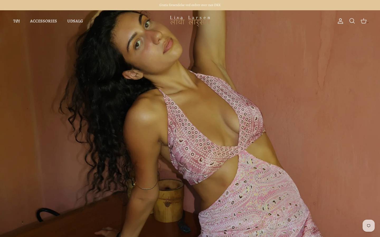 Liva Larsen homepage screenshot