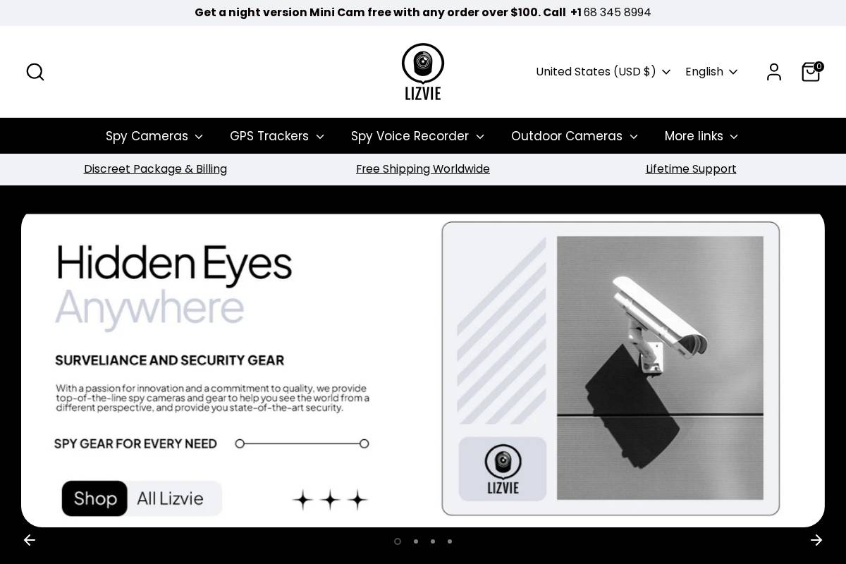 lizvie.com homepage screenshot
