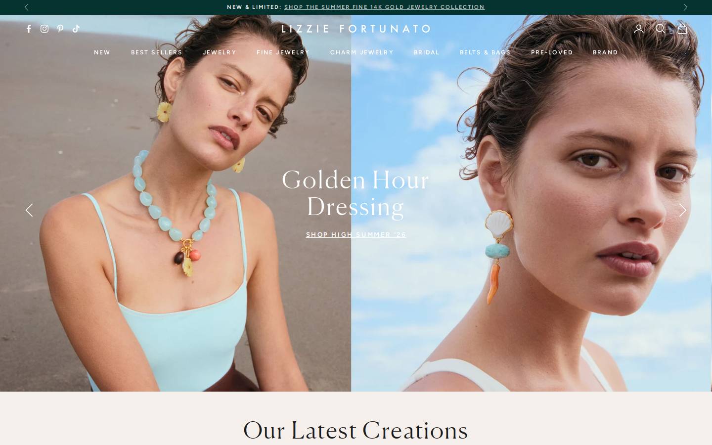 lizziefortunato.com homepage screenshot