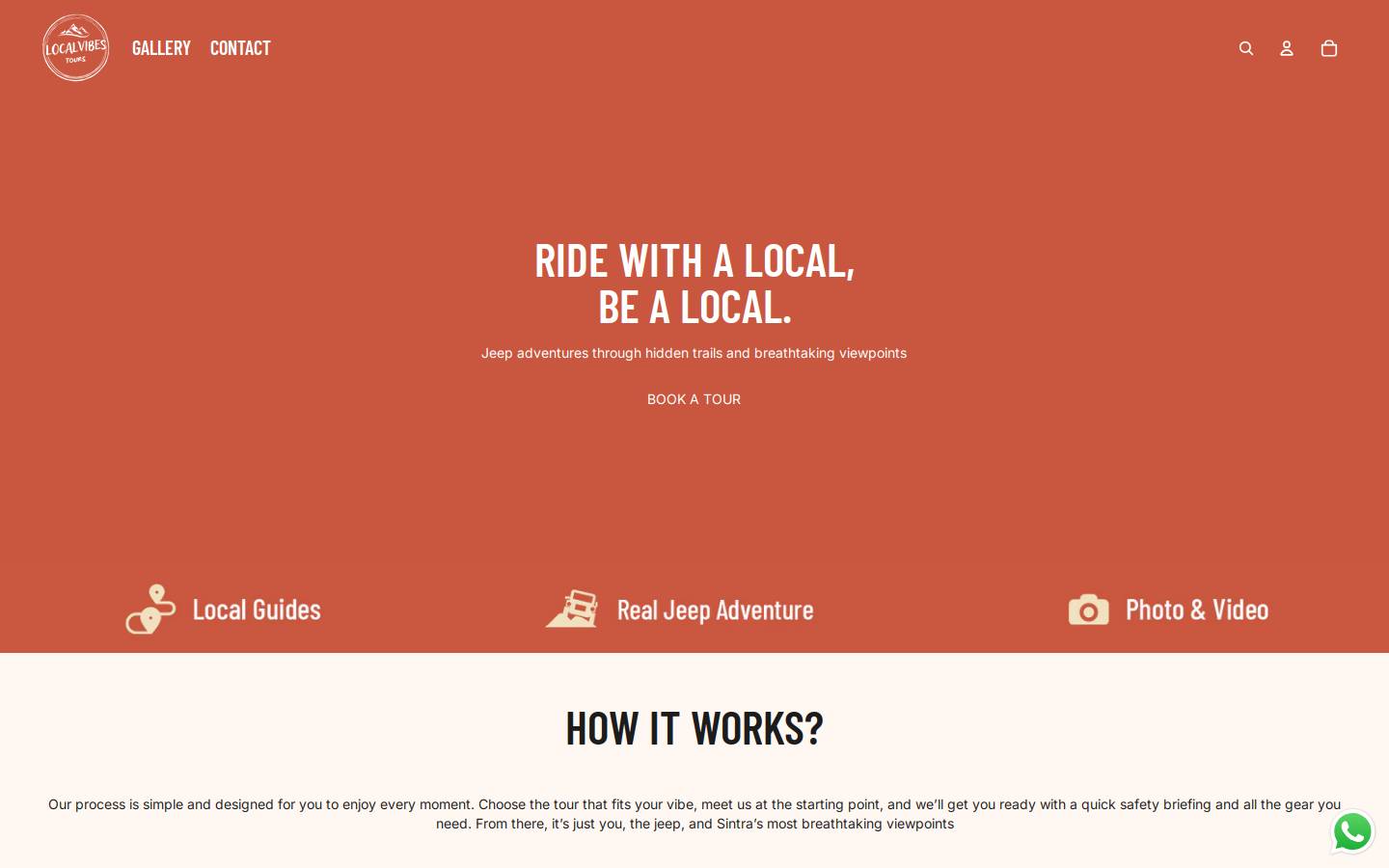 localvibestours.com homepage screenshot