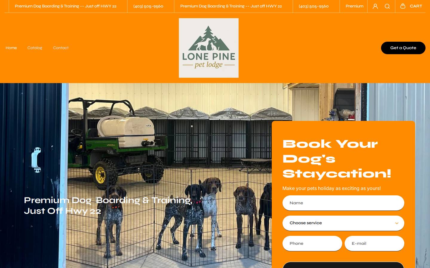 lonepinepetlodge.com homepage screenshot