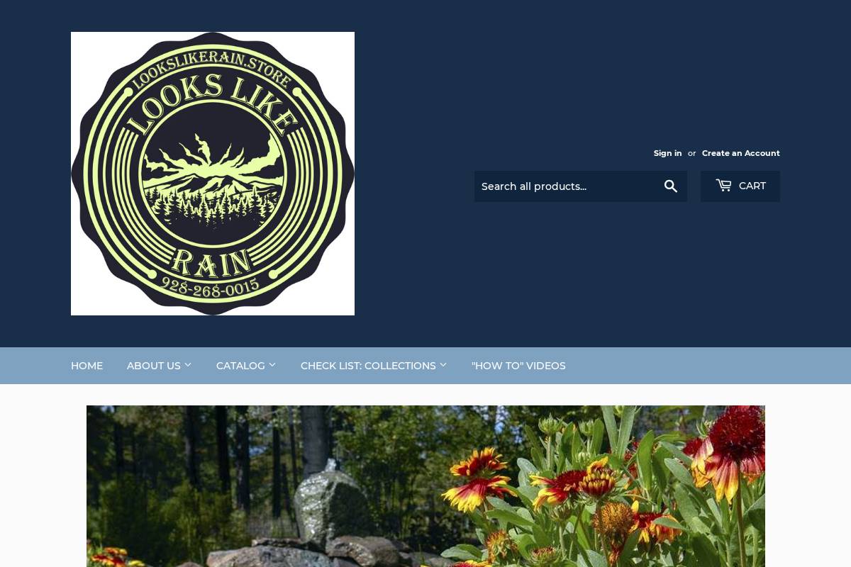 lookslikerain.store homepage screenshot