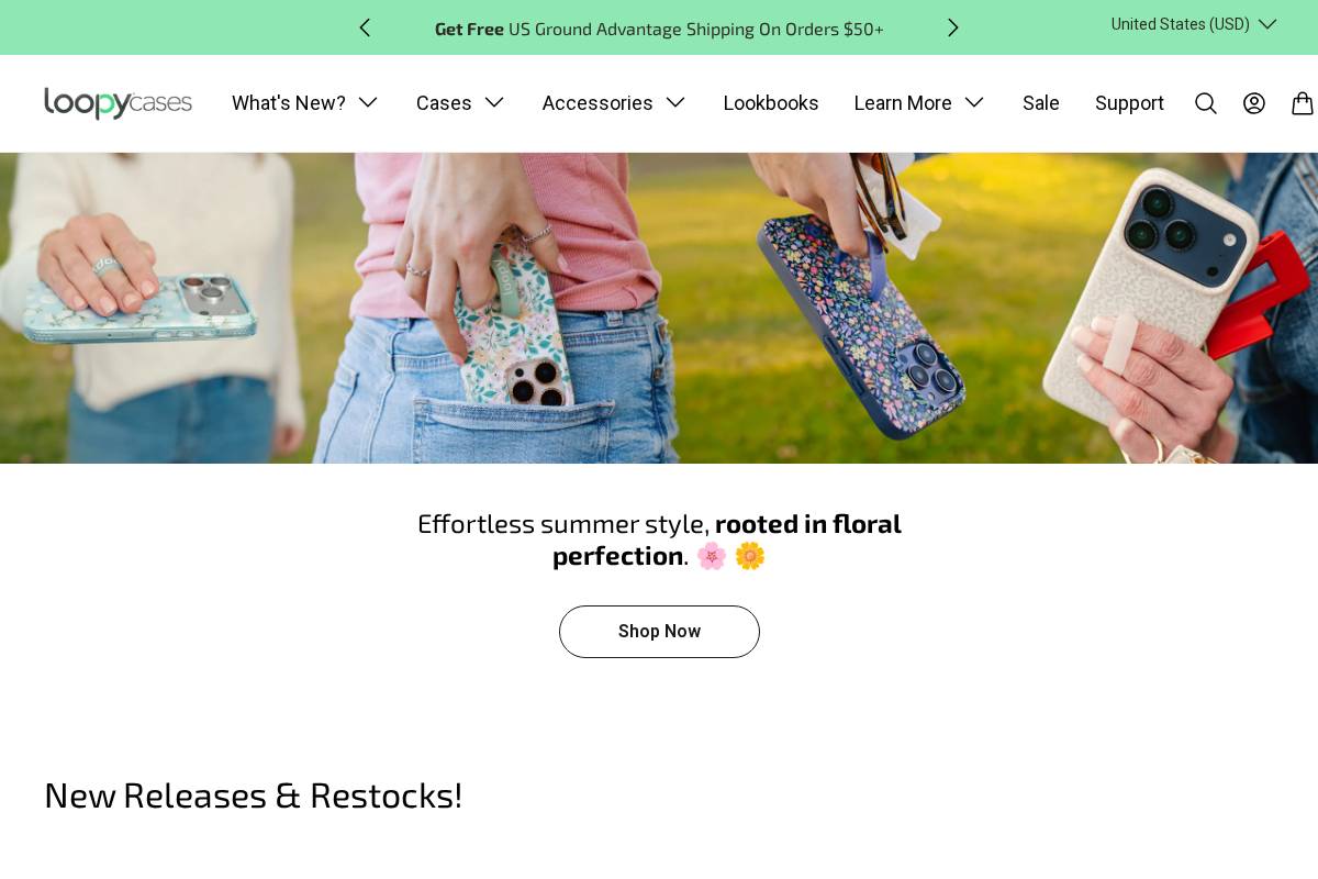 Loopy Cases homepage screenshot
