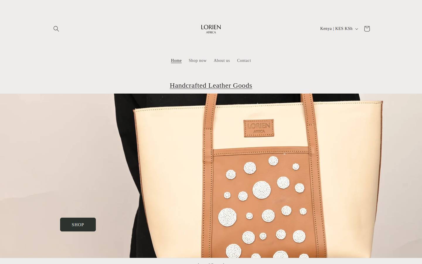 lorien.africa homepage screenshot
