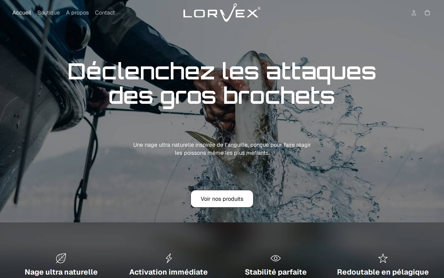 lorvex.com homepage screenshot