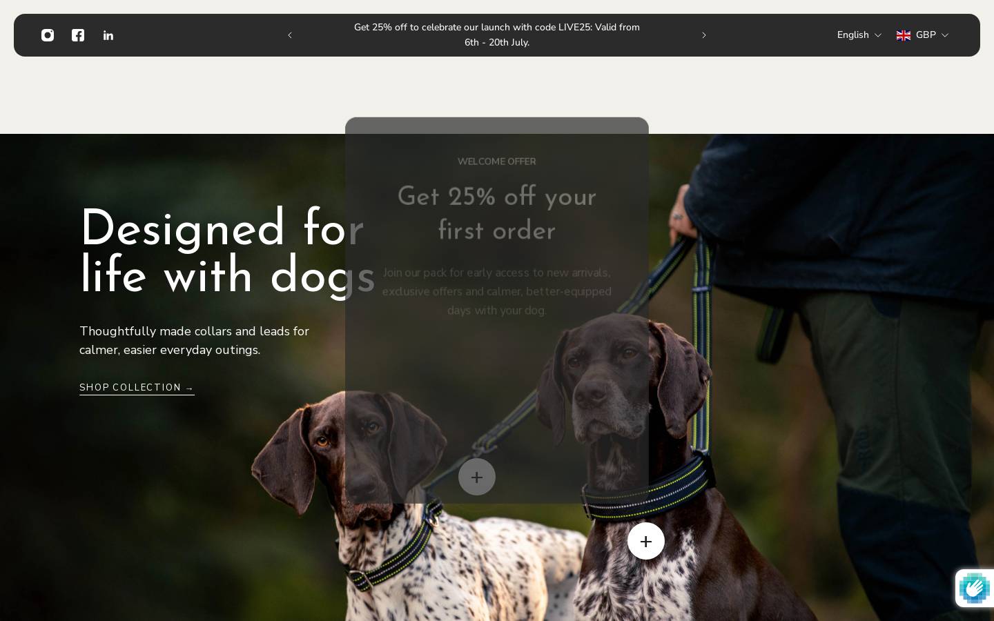 lostinhound.com homepage screenshot