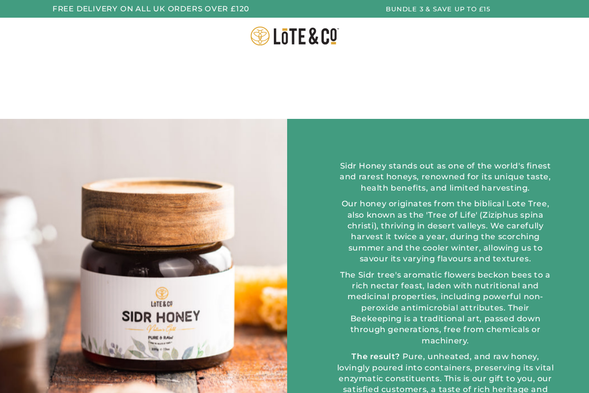 Lote and Co homepage screenshot