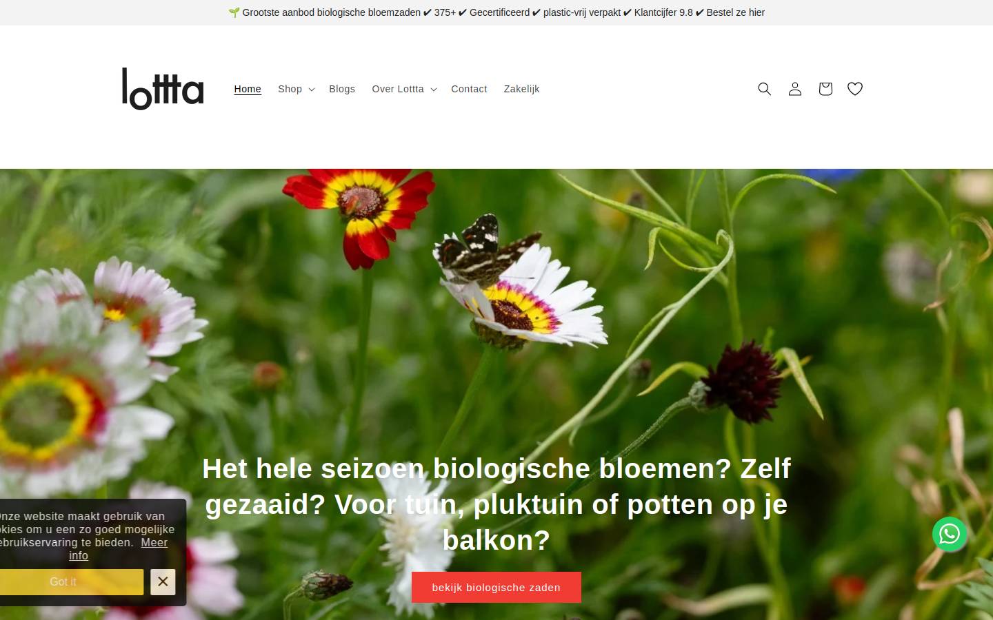 Lottta homepage screenshot