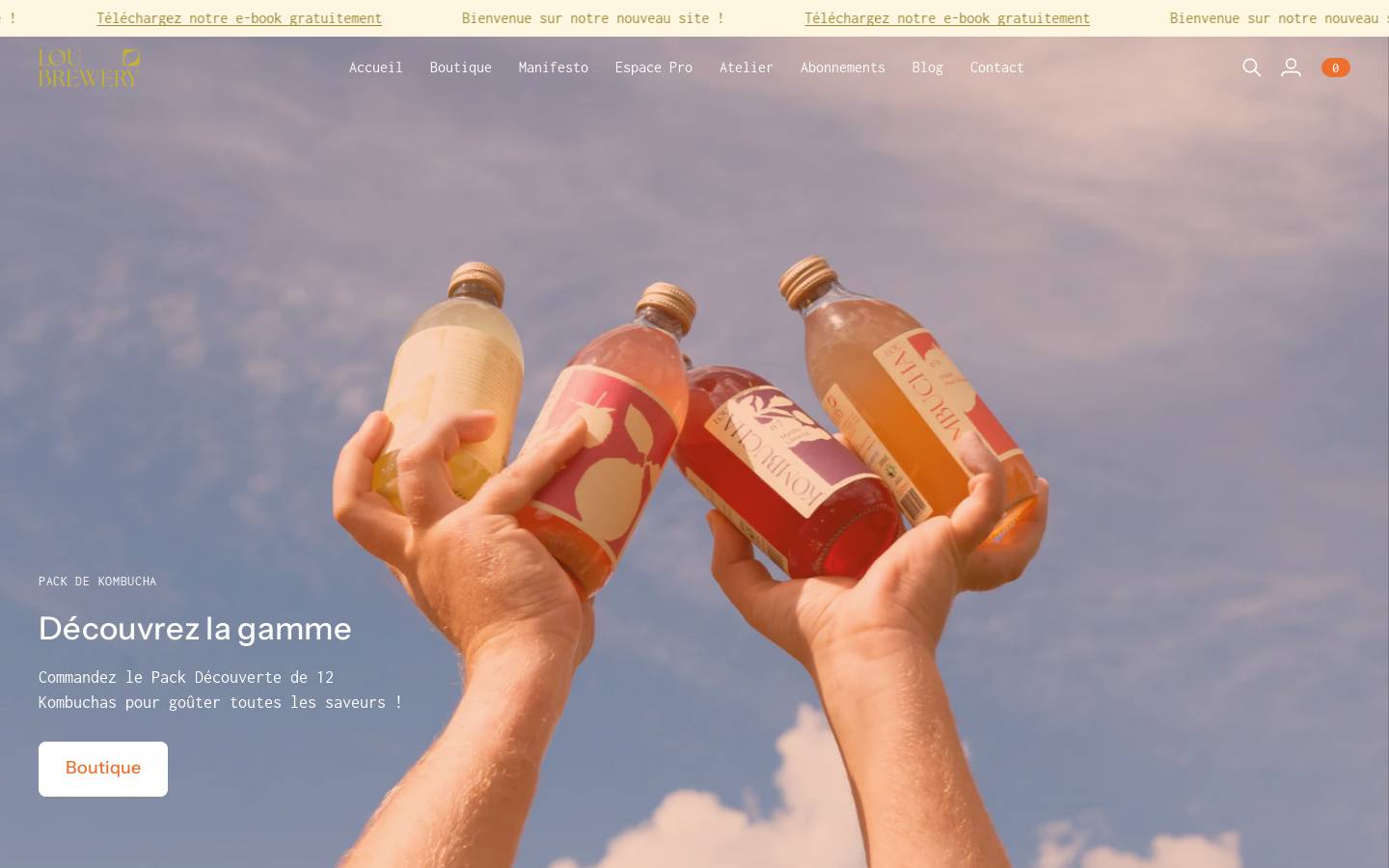 Lou Kombucha homepage screenshot