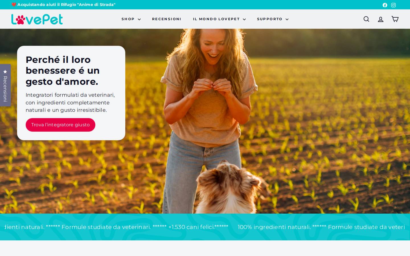 Lovepet homepage screenshot
