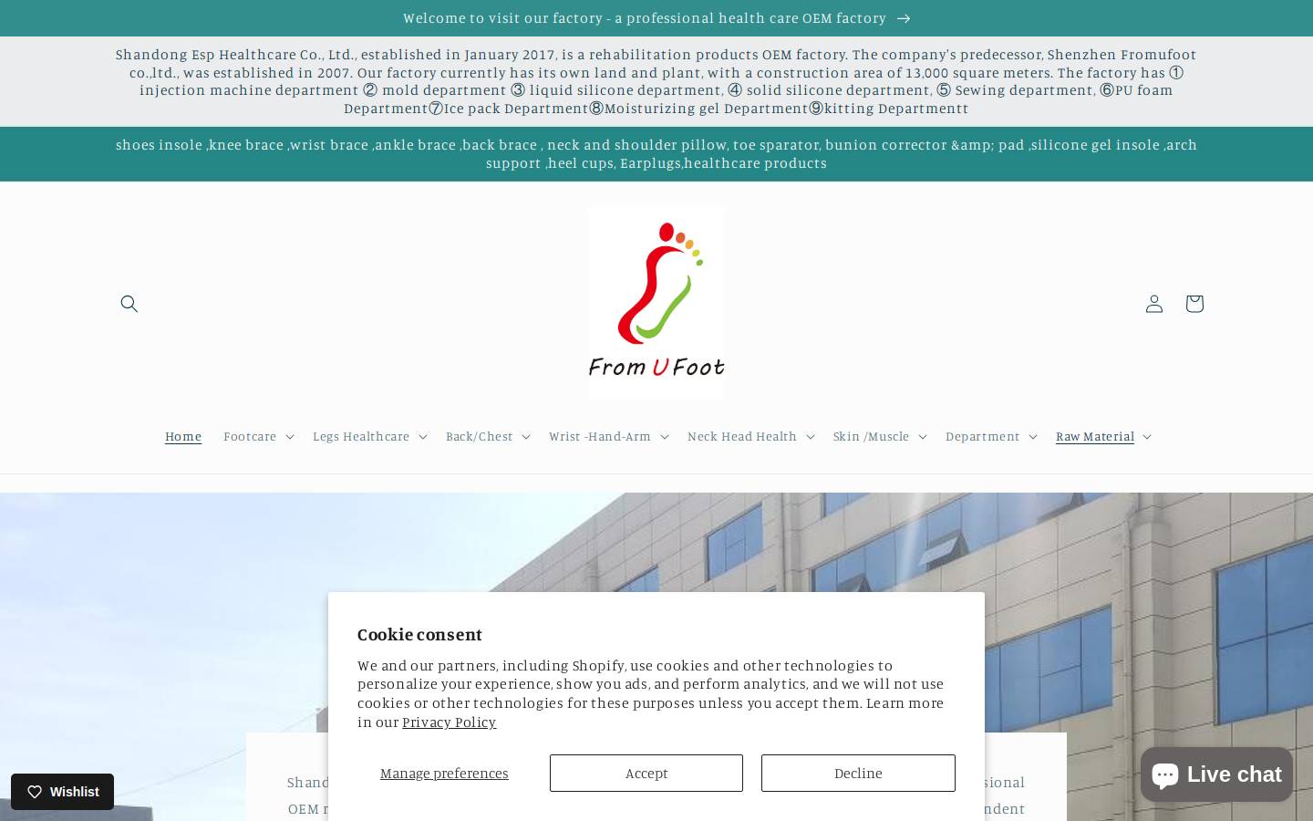 lowerbackbrace.com homepage screenshot