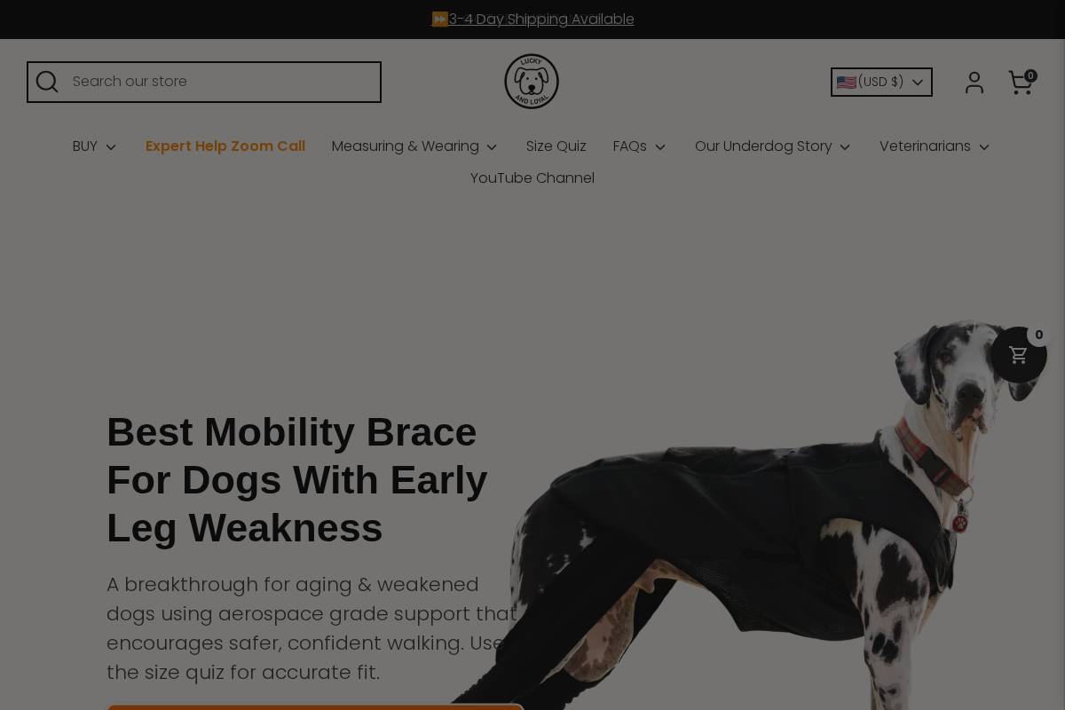 luckyandloyal.com homepage screenshot