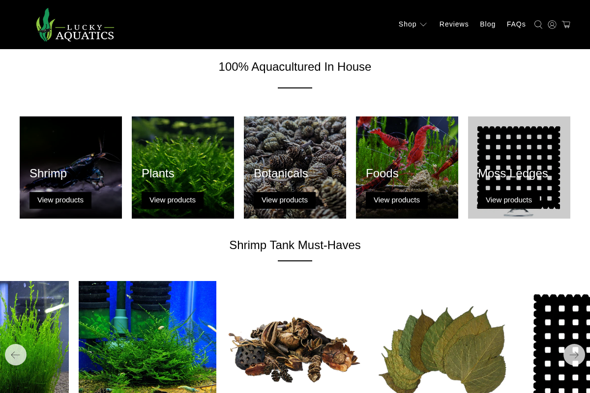 Lucky Aquatics homepage screenshot