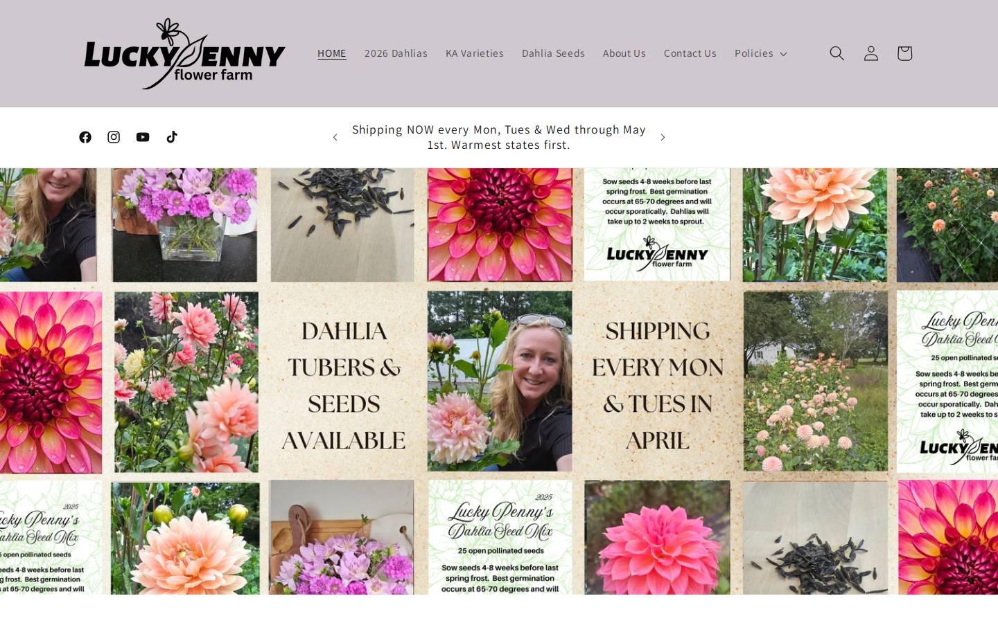 luckypennyflowerfarm.com homepage screenshot