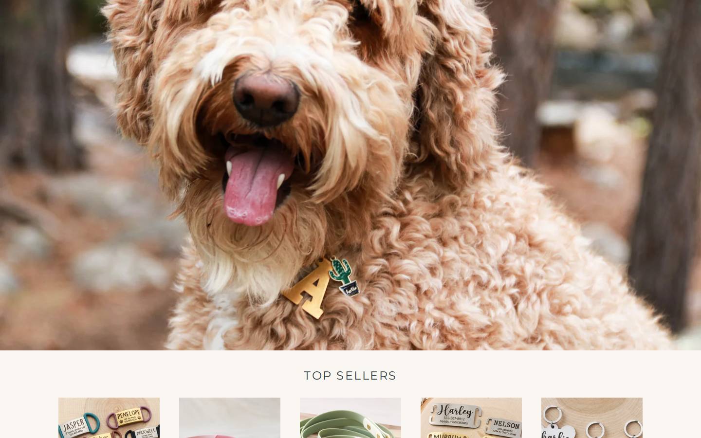 Luckytags homepage screenshot