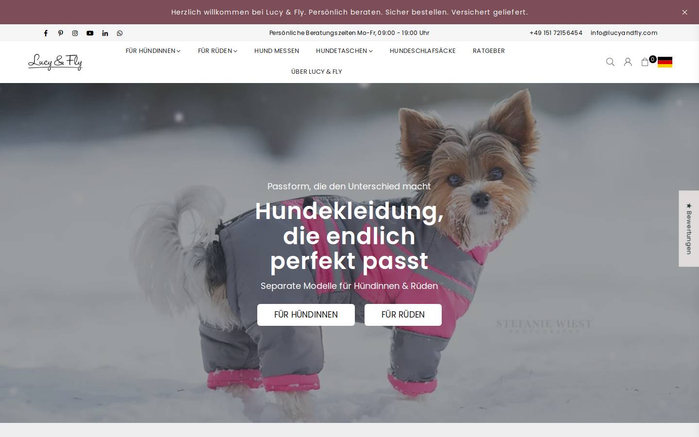 lucyandfly.com homepage screenshot