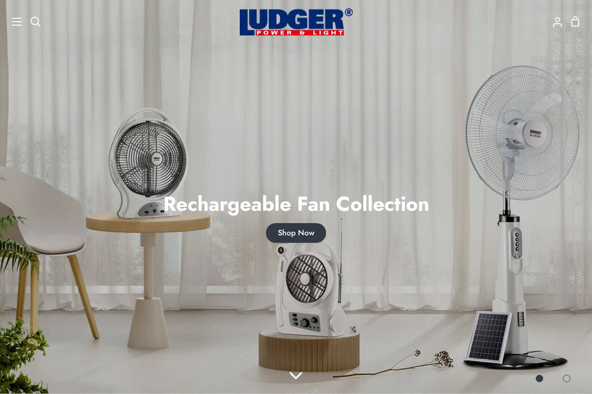 ludgerpower.com homepage screenshot